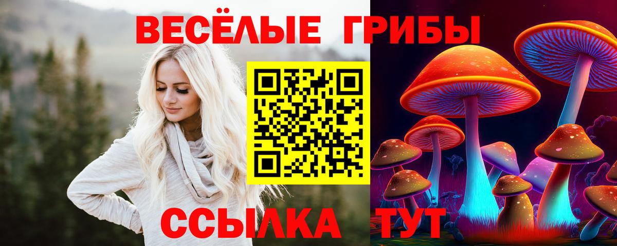Галлюциногенные грибы MAGIC MUSHROOMS  Псилоцибиновые грибы Cubensis  Асино  Вход с VPN 